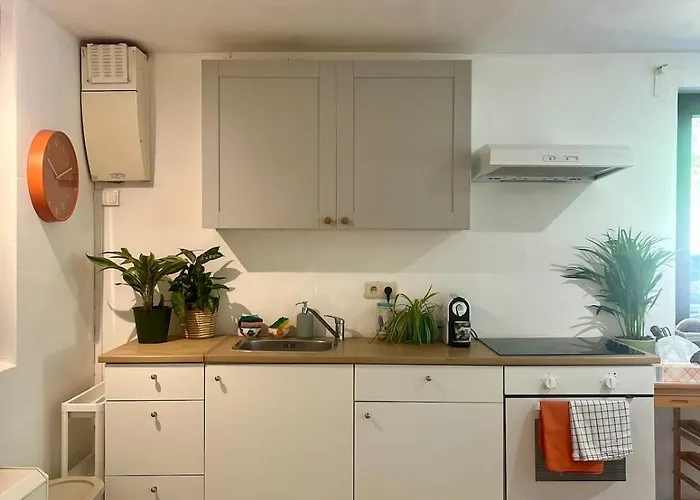 Lumineux Au Coeur De Sur Lesse * Han-sur-Lesse